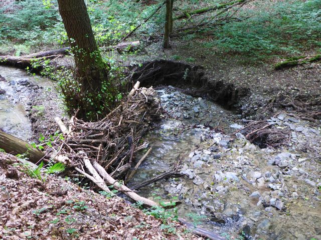 Pulsbachklamm