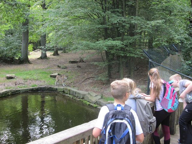 Tierpark Sababurg