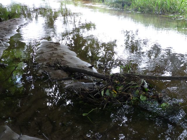 Eine Brücke