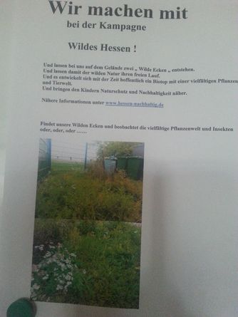 Bekanntmachung der Kampagne Wildes Hessen in unserer Kita