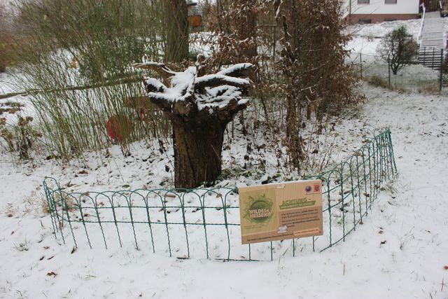 Das Schutzzäunchen um die wilde Ecke...