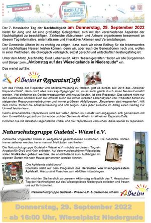 Aktionsflyer