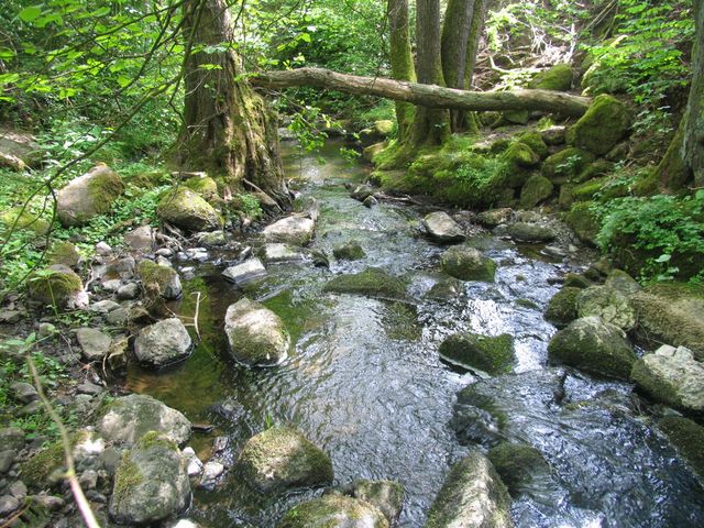 Uerzeller Wasser in Uerzell