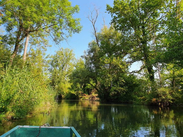 Ein See innerhalb eines Waldstücks