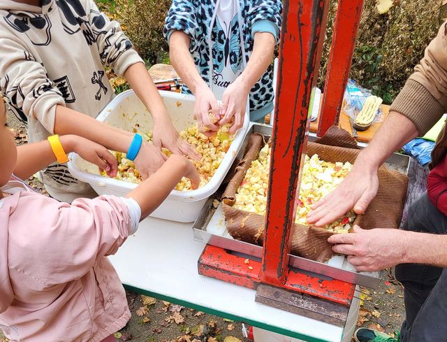 Kinder nehmen an einem Kochworkshop / Ernährungsbildungsangebot teil