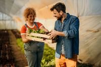 Frau übergibt Mann eine Kiste mit Salat