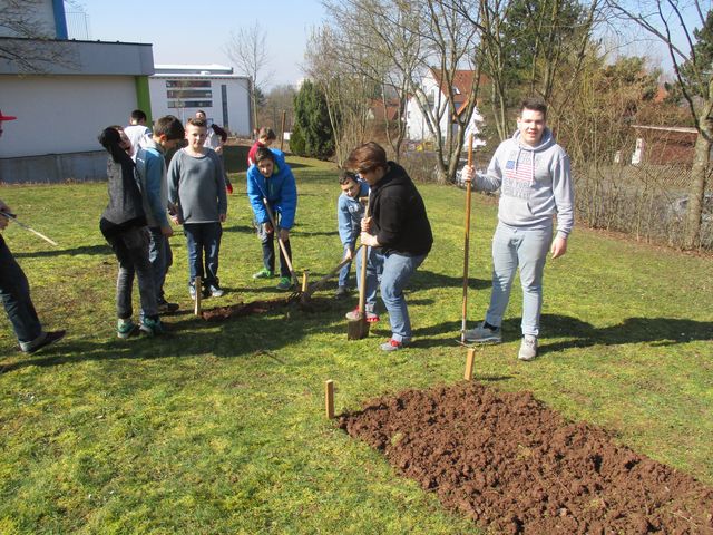 Anlage im März 2016