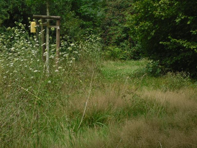 Ende Juli 2017