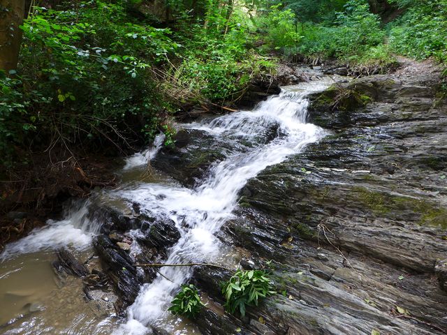 Pulsbachklamm