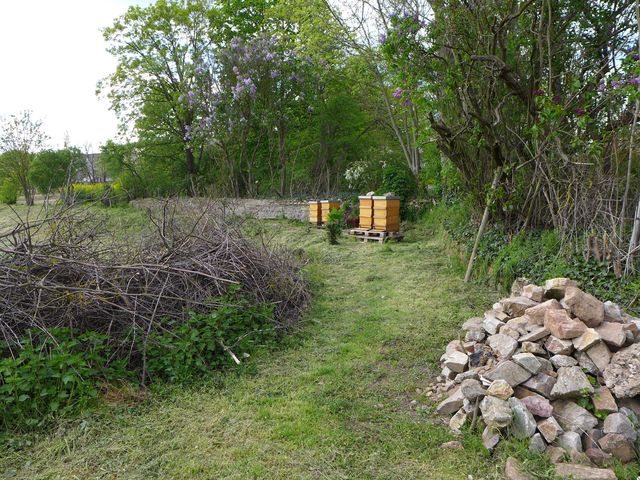 Biotopstrukturen Obstanlage LLH-Gartenakademie Geisenheim