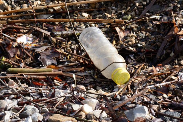 Plastikpiraten