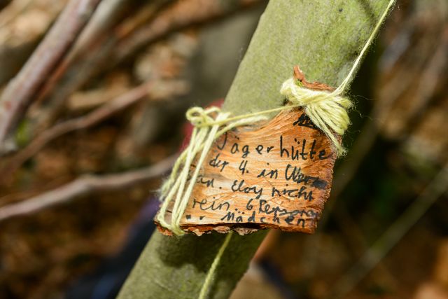 Umweltbildungszentrum Schatzinsel Kühkopf, Foto: Sabrina Feige