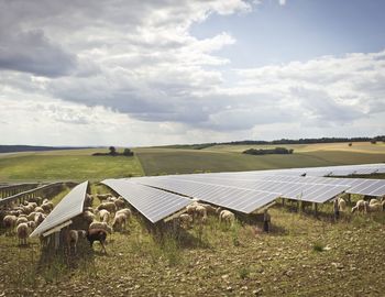 ENTEGA Solarpark Thüngen