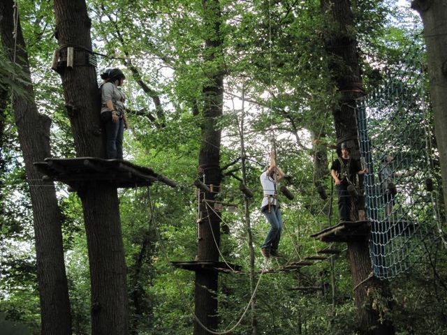 Jugendliche in Aktion im Kletterwald