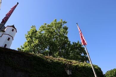 Die Kurfürstliche Burg bot ein tolles Ambiente.