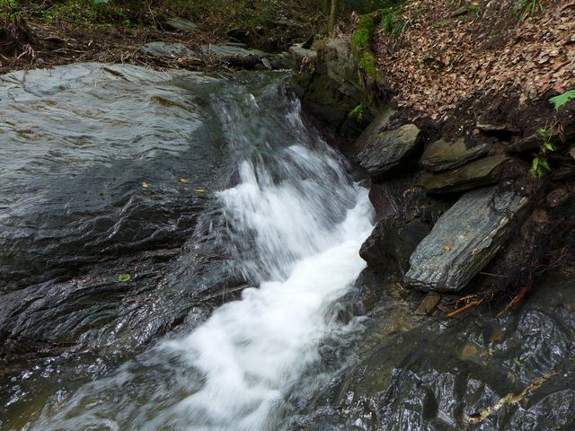 Pulsbachklamm