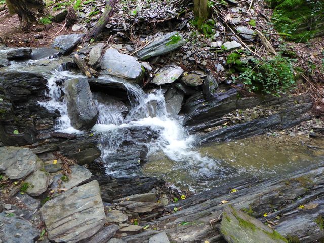 Pulsbachklamm