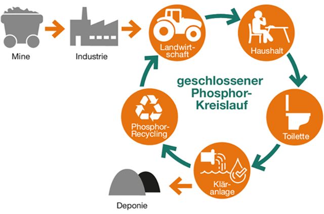 Darstellung des geschlossenen Phosphorkreislaufs