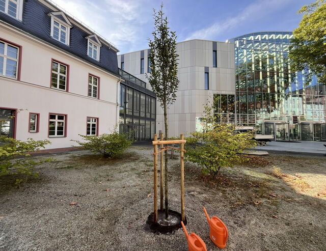 Philipps-Universität Marburg