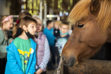 Die Kinder der Grundschule Guxhagen besuchen die Tiere des Bauernhofs © offenblende.de