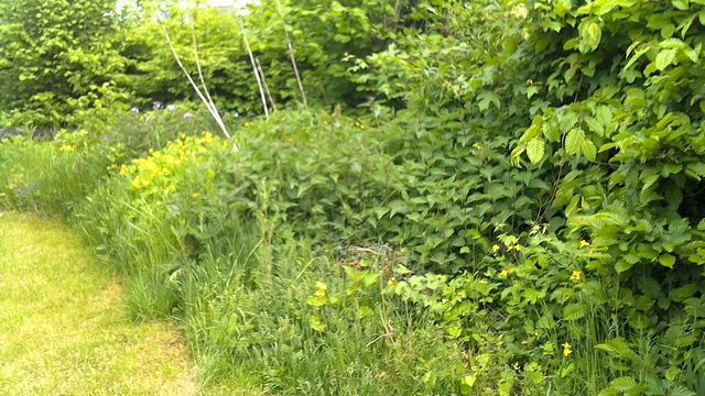 Wilde  Ecke Blockhütte