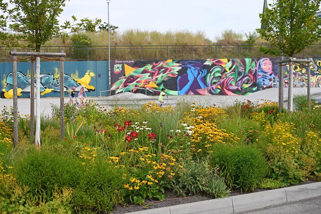 Begrünung von Plätzen