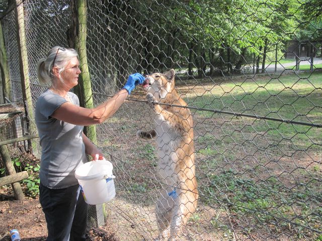 Tierpark Sababurg