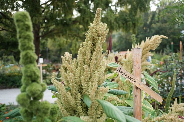 Landesgartenschau Bad Schwalbach, Foto: Dirk Beichert