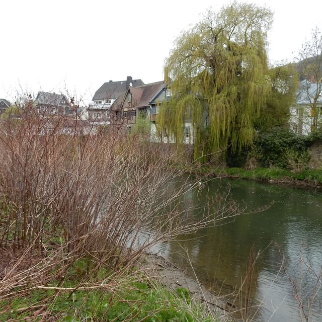 Wilde Ecke in Herborn- Hinter dem Haus der Kirche und Diakonie