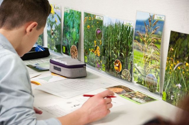 Biogas Theo-Koch-Schule Grünberg