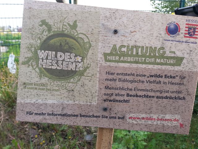 Wilde Ecke Holzschild