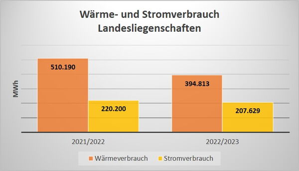 Diagramm des Wärme- und Stromverbrauchs Landesliegenschaften