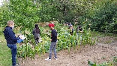 Der Schulgarten in der Anne-Frank-Schule Raunheim © ifok GmbH