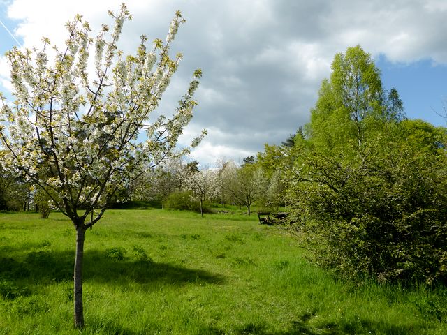 Streuobstwiese Herborn - Seelbach