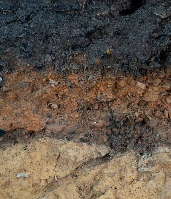 Hessischer Kohlenmeilerboden