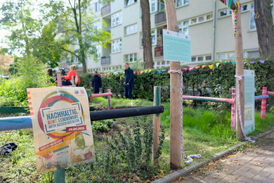 Die Erfahrungsfläche bietet Kindern die Möglichkeit, Erfahrungen mit wilder Natur zu machen und zwar ohne vorgegebene Spielgeräte oder Sitzgelegenheiten.