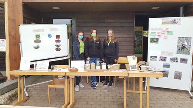 Informationsstand am Feldhamsterhaus im OPEL Zoo Kronberg © ifok GmbH