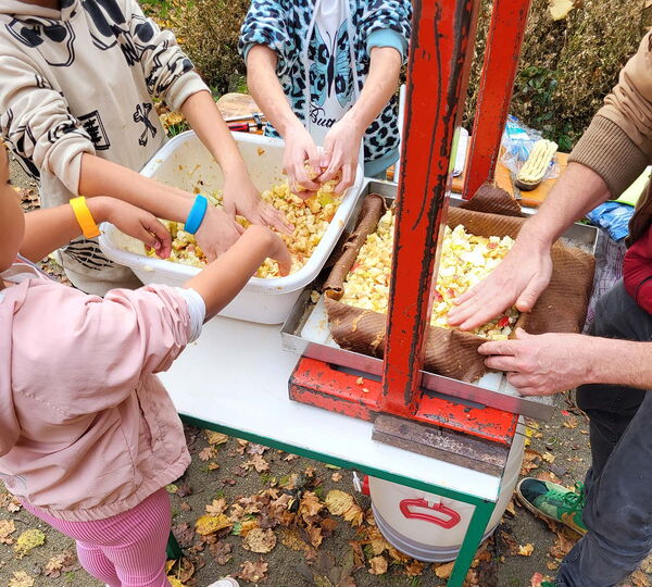 Kinder nehmen an einem Kochworkshop / Ernährungsbildungsangebot teil