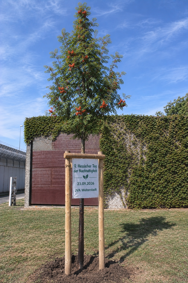 Justizvollzugsanstalt Weiterstadt