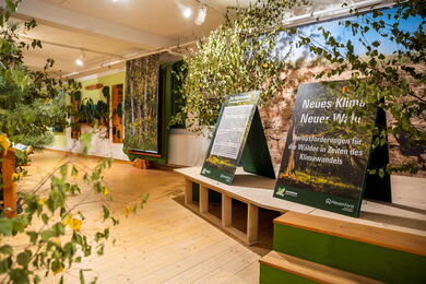 Ausstellung im Naturparkzentrum Habichtswald © offenblende.de