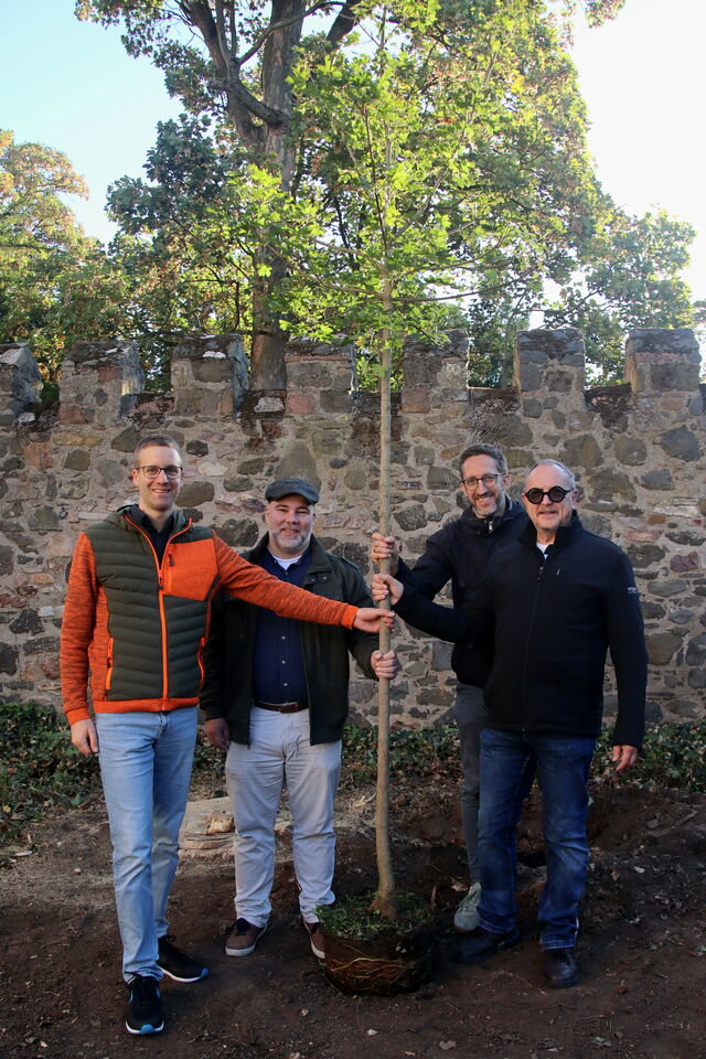 Baumpflanzung Finanzamt Friedberg