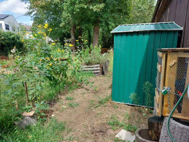 Schulgarten