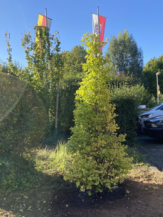 Amtsgericht Dieburg