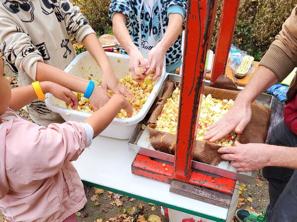 Kinder nehmen an einem Kochworkshop / Ernährungsbildungsangebot teil