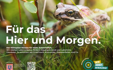 Plakat mit Frosch und Botschaft Für das Hier und Morgen