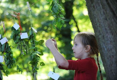Kind im Waldkindergarten