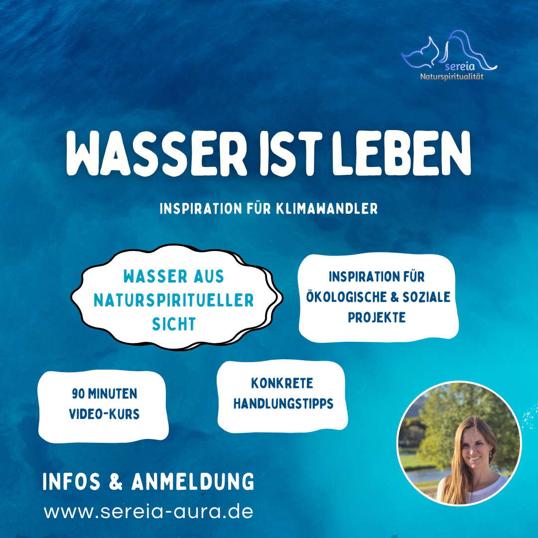 Bild/Logo